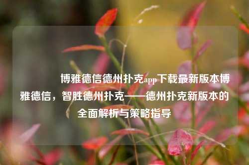 👉博雅德信德州扑克app下载最新版本博雅德信，智胜德州扑克——德州扑克新版本的全面解析与策略指导