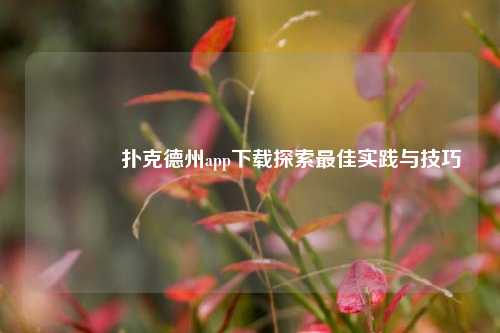 🥈扑克德州app下载探索最佳实践与技巧