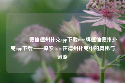 🥈德信德州扑克app下载turn牌德信德州扑克app下载——探索Turn在德州扑克中的奥秘与策略