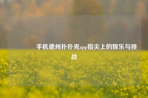 🥈手机德州扑扑克app指尖上的娱乐与挑战