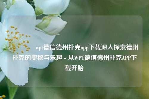 🏆wpt德信德州扑克app下载深入探索德州扑克的奥秘与乐趣 - 从WPT德信德州扑克APP下载开始