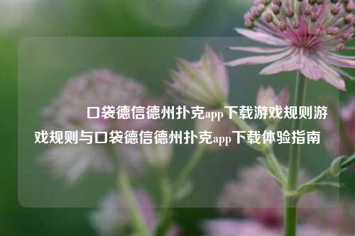 👈口袋德信德州扑克app下载游戏规则游戏规则与口袋德信德州扑克app下载体验指南