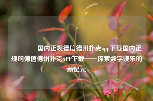 👍国内正规德信德州扑克app下载国内正规的德信德州扑克APP下载——探索数字娱乐的新纪元