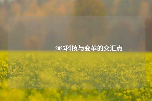 🥉2025科技与变革的交汇点