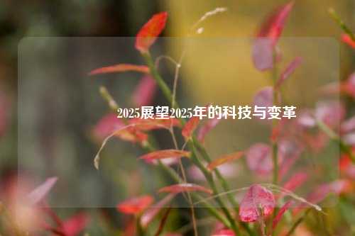 👉2025展望2025年的科技与变革