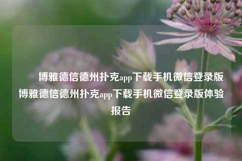 ✌️博雅德信德州扑克app下载手机微信登录版博雅德信德州扑克app下载手机微信登录版体验报告