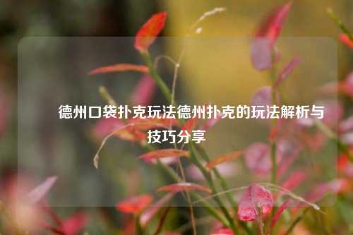 ✌️德州口袋扑克玩法德州扑克的玩法解析与技巧分享