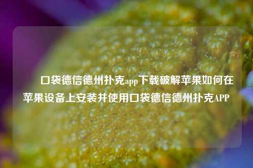 ✌️口袋德信德州扑克app下载破解苹果如何在苹果设备上安装并使用口袋德信德州扑克APP