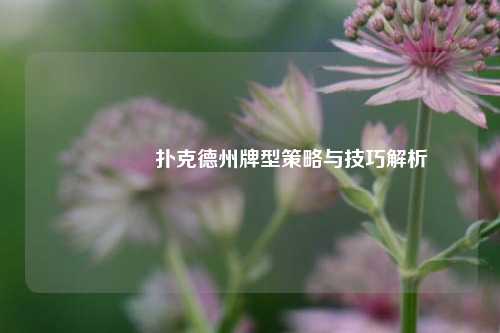 👍扑克德州牌型策略与技巧解析