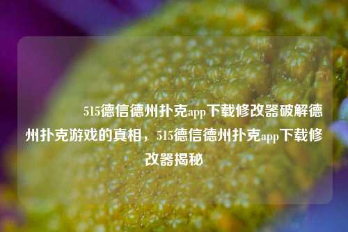 👉515德信德州扑克app下载修改器破解德州扑克游戏的真相，515德信德州扑克app下载修改器揭秘