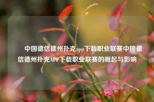✌️中国德信德州扑克app下载职业联赛中国德信德州扑克APP下载职业联赛的崛起与影响
