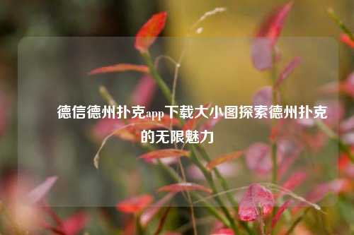 ✌️德信德州扑克app下载大小图探索德州扑克的无限魅力