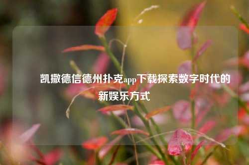 ✌️凯撒德信德州扑克app下载探索数字时代的新娱乐方式