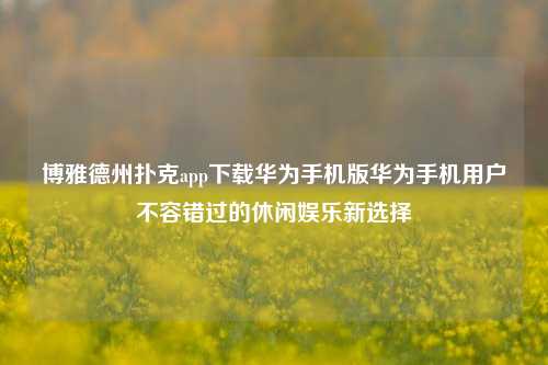 博雅德州扑克app下载华为手机版华为手机用户不容错过的休闲娱乐新选择