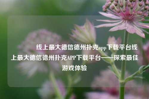 🥇线上最大德信德州扑克app下载平台线上最大德信德州扑克APP下载平台——探索最佳游戏体验
