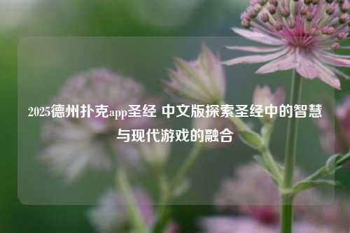 2025德州扑克app圣经 中文版探索圣经中的智慧与现代游戏的融合