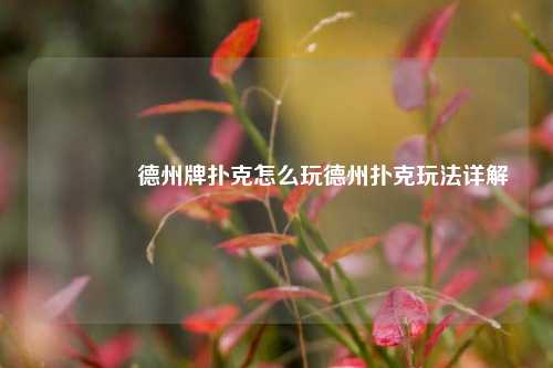 👍德州牌扑克怎么玩德州扑克玩法详解