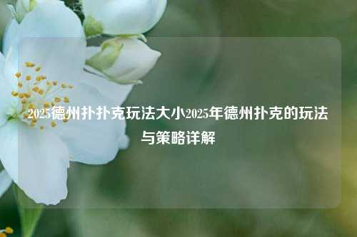 2025德州扑扑克玩法大小2025年德州扑克的玩法与策略详解
