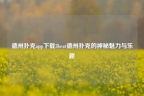 德州扑克app下载3beat德州扑克的神秘魅力与乐趣