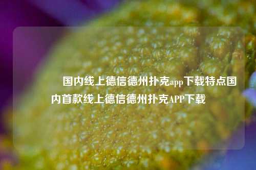 🌈国内线上德信德州扑克app下载特点国内首款线上德信德州扑克APP下载