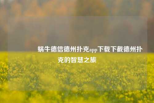 🌈蜗牛德信德州扑克app下载下截德州扑克的智慧之旅