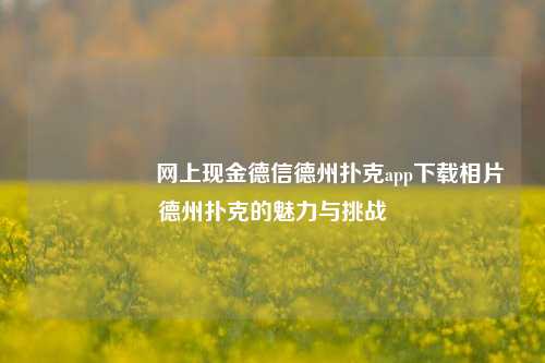 🎖️网上现金德信德州扑克app下载相片德州扑克的魅力与挑战