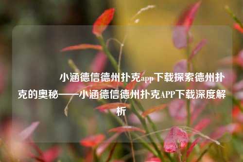 🏅小涵德信德州扑克app下载探索德州扑克的奥秘——小涵德信德州扑克APP下载深度解析