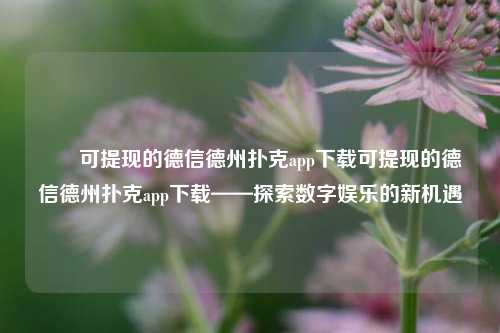 ✌️可提现的德信德州扑克app下载可提现的德信德州扑克app下载——探索数字娱乐的新机遇