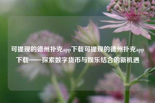 可提现的德州扑克app下载可提现的德州扑克app下载——探索数字货币与娱乐结合的新机遇