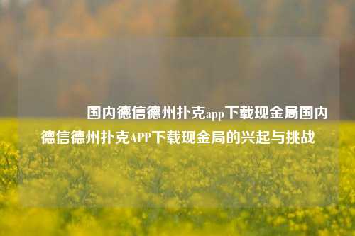 👍国内德信德州扑克app下载现金局国内德信德州扑克APP下载现金局的兴起与挑战