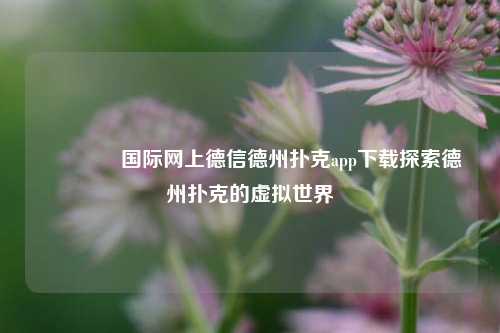 🥈国际网上德信德州扑克app下载探索德州扑克的虚拟世界