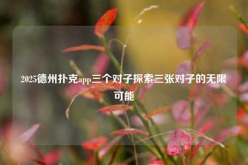 2025德州扑克app三个对子探索三张对子的无限可能