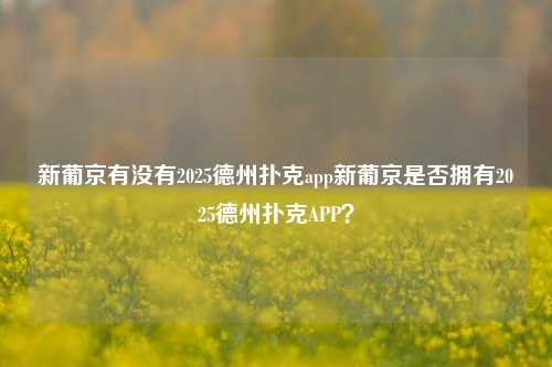 新葡京有没有2025德州扑克app新葡京是否拥有2025德州扑克APP？