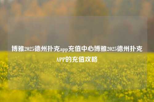 博雅2025德州扑克app充值中心博雅2025德州扑克APP的充值攻略