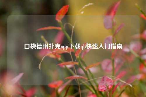 口袋德州扑克app下载qb快速入门指南