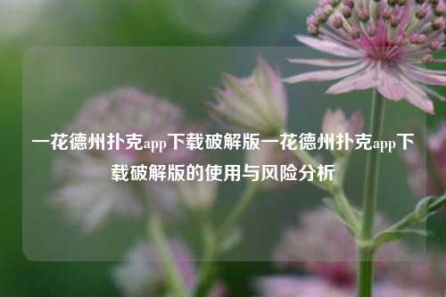 一花德州扑克app下载破解版一花德州扑克app下载破解版的使用与风险分析