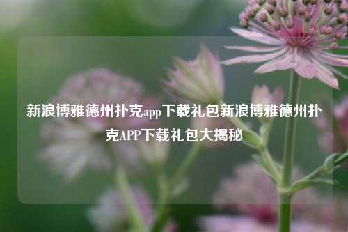 新浪博雅德州扑克app下载礼包新浪博雅德州扑克APP下载礼包大揭秘