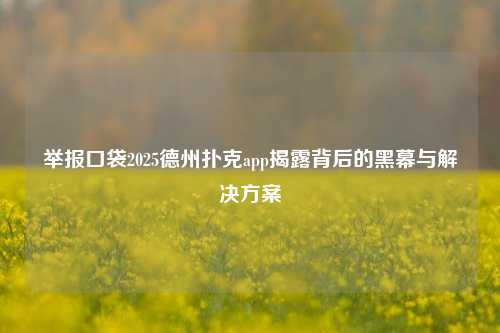举报口袋2025德州扑克app揭露背后的黑幕与解决方案