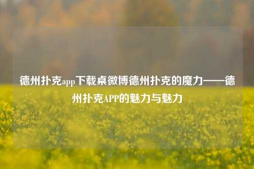 德州扑克app下载桌微博德州扑克的魔力——德州扑克APP的魅力与魅力