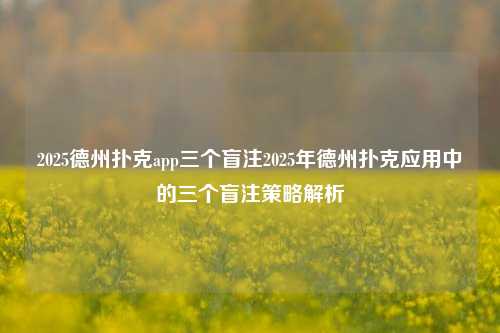 2025德州扑克app三个盲注2025年德州扑克应用中的三个盲注策略解析