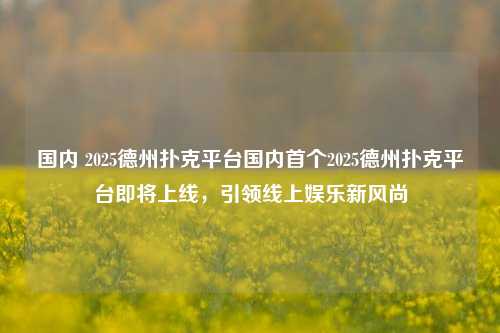 国内 2025德州扑克平台国内首个2025德州扑克平台即将上线，引领线上娱乐新风尚