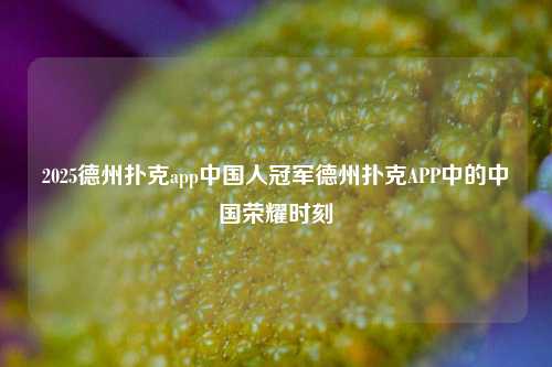 2025德州扑克app中国人冠军德州扑克APP中的中国荣耀时刻