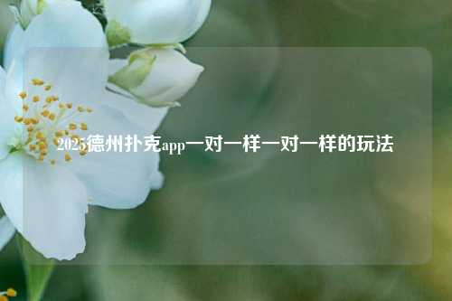 2025德州扑克app一对一样一对一样的玩法