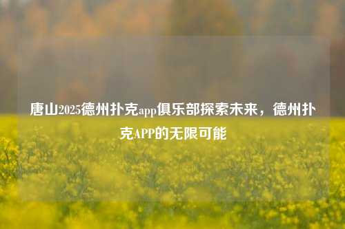 唐山2025德州扑克app俱乐部探索未来，德州扑克APP的无限可能