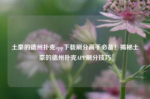 土豪的德州扑克app下载刷分高手必备！揭秘土豪的德州扑克APP刷分技巧