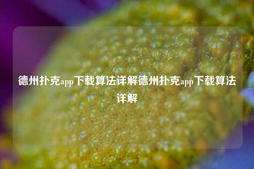 德州扑克app下载算法详解德州扑克app下载算法详解