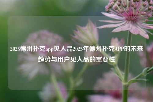 2025德州扑克app见人品2025年德州扑克APP的未来趋势与用户见人品的重要性