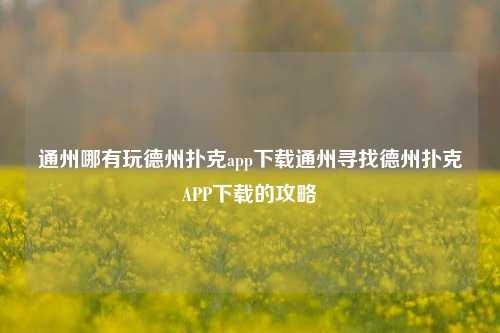 通州哪有玩德州扑克app下载通州寻找德州扑克APP下载的攻略