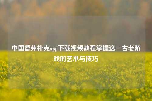 中国德州扑克app下载视频教程掌握这一古老游戏的艺术与技巧