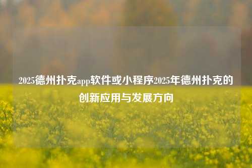 2025德州扑克app软件或小程序2025年德州扑克的创新应用与发展方向